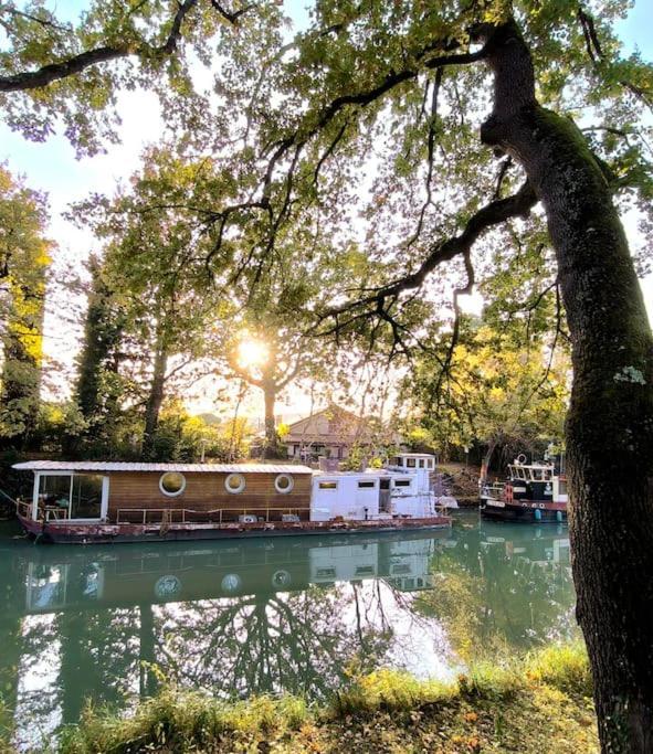 Insolite Peniche Amazonie Canal Du Midi Gardouch Экстерьер фото
